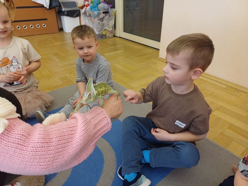 Warsztaty przyrodnicze- kameleon