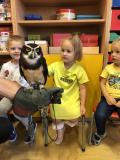 Zdjęcie 6