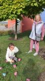 Zdjęcie 5