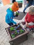 Zdjęcie 11
