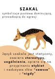 Zdjęcie 12