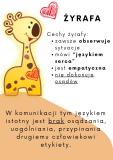 Zdjęcie 8