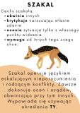 Zdjęcie 12