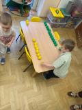 Zdjęcie 11
