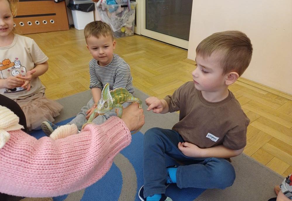 Warsztaty przyrodnicze- kameleon
